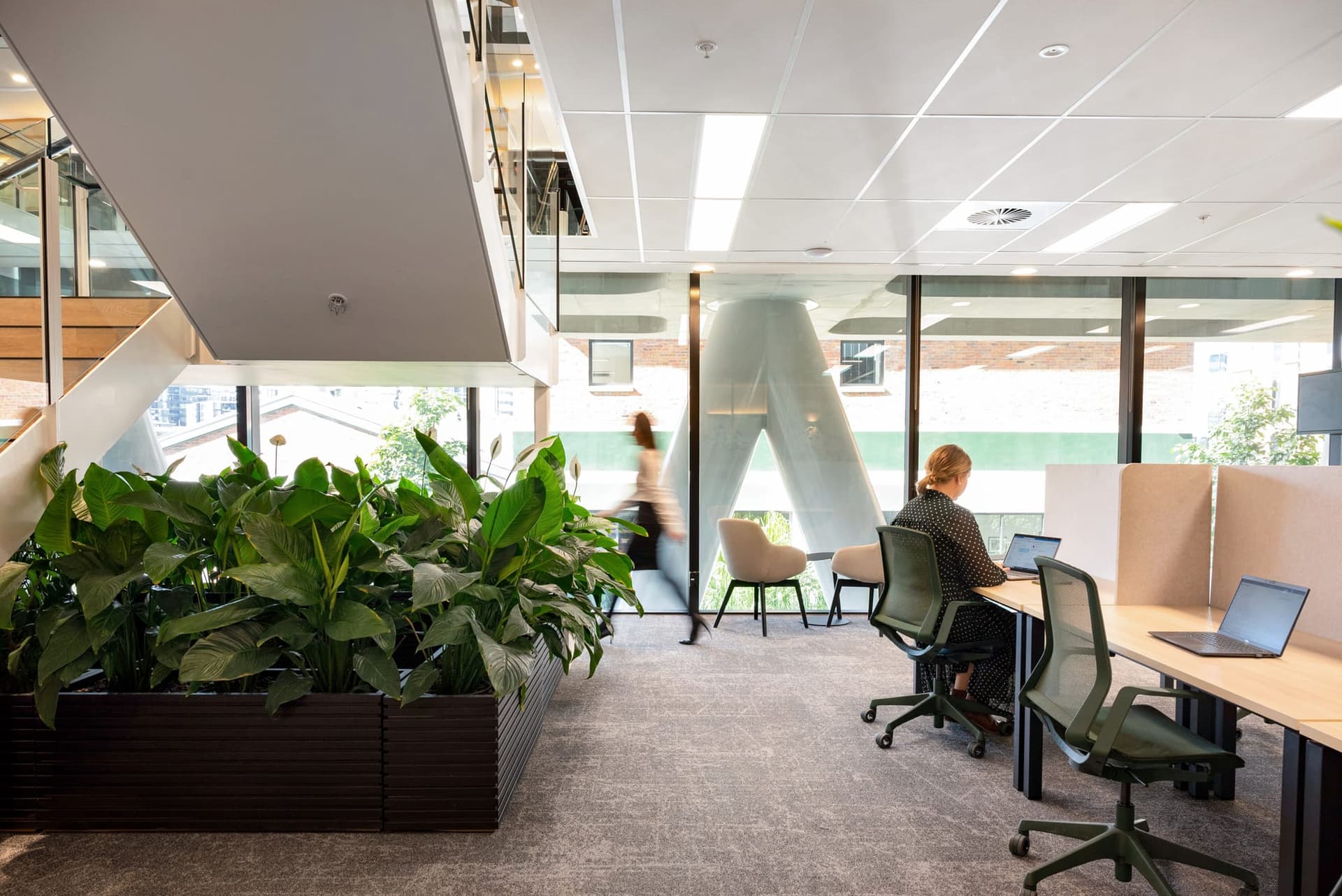 Modern office space with plants, open desks, and natural light. A woman works at a laptop.