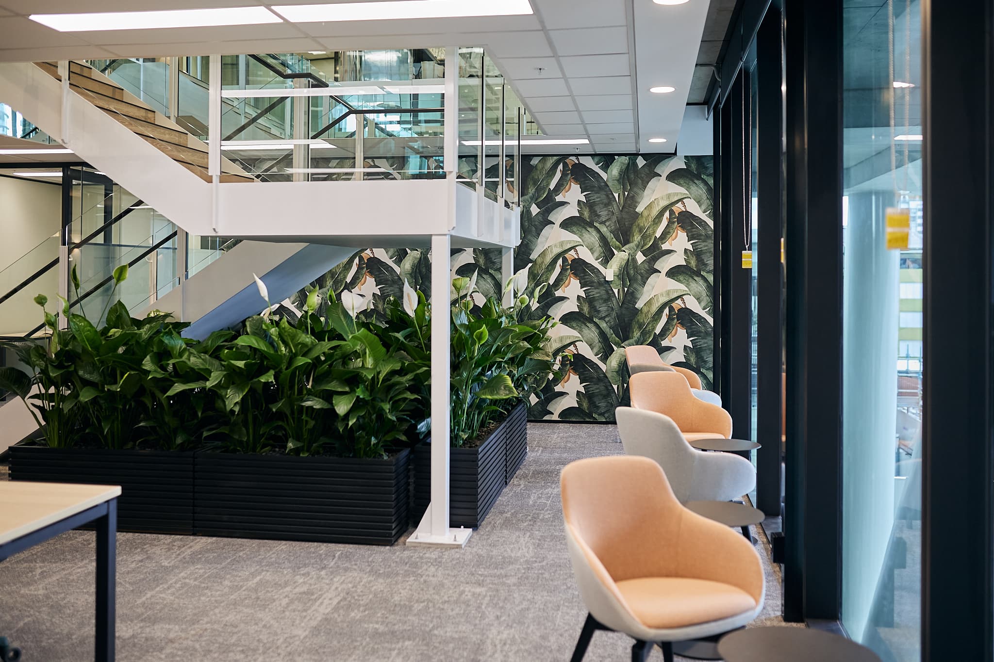 Inside Workspace365 building in West End, Brisbane